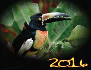 Front cover calendar 2016