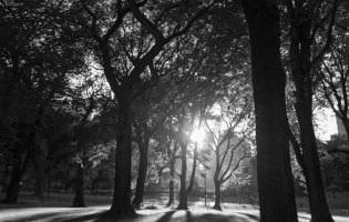 Coucher de soleil sur Central Parc